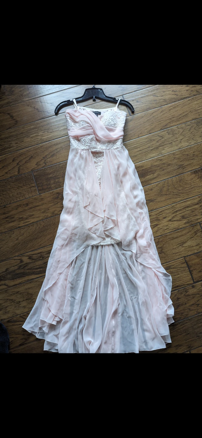 Le Château Pink Lace Dress