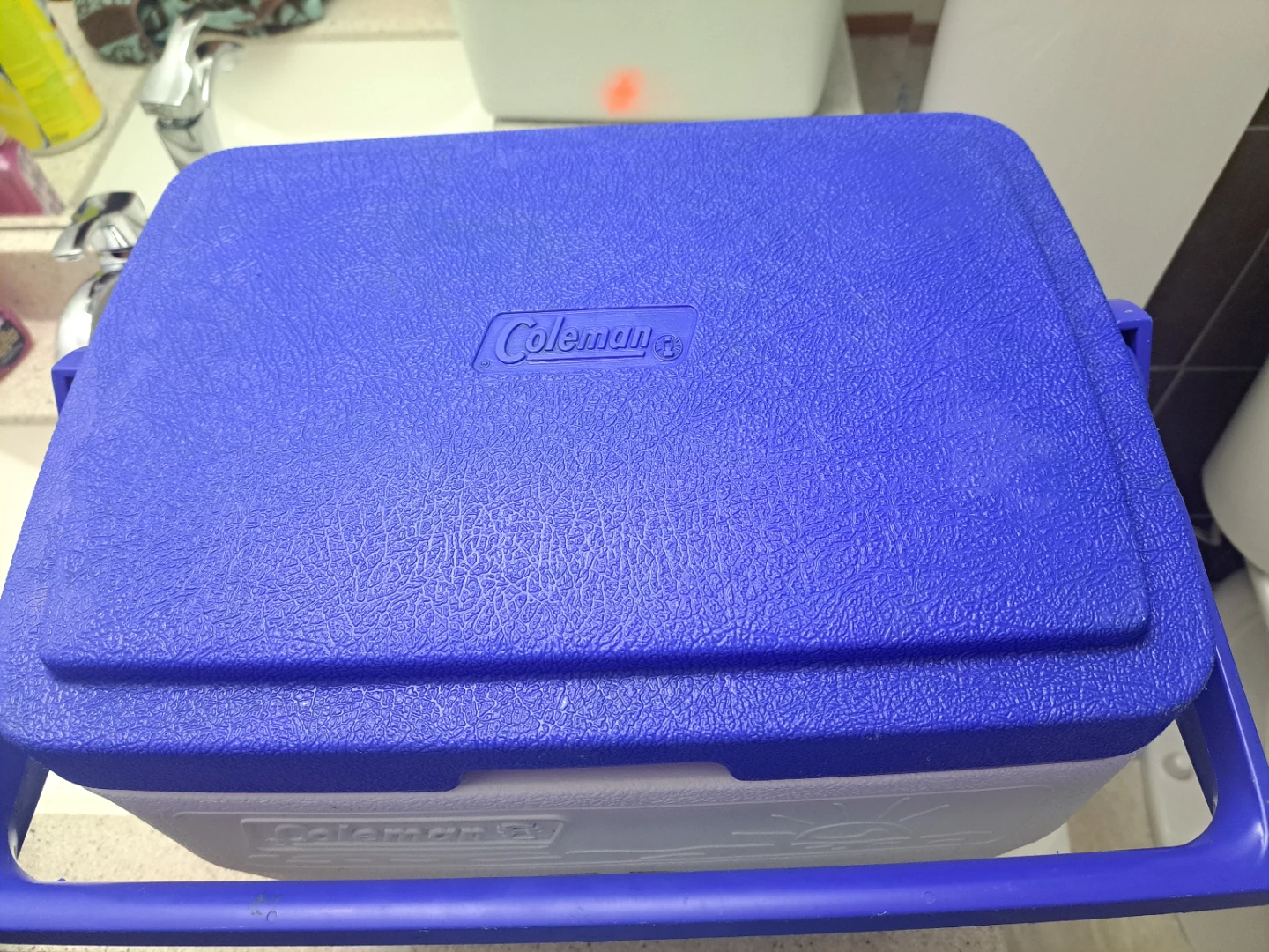 Small Coleman Cooler - photo 3