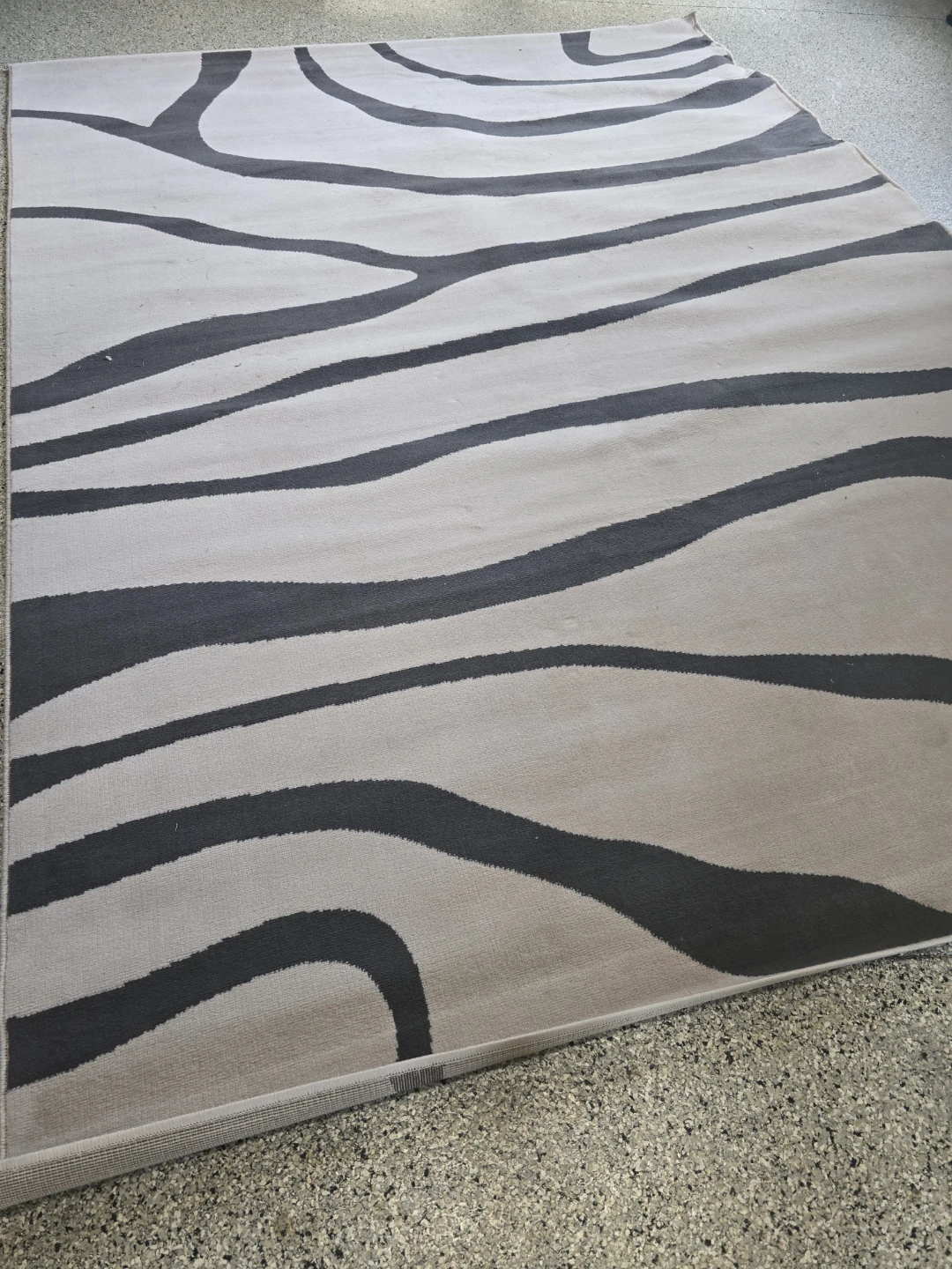 Area Rug