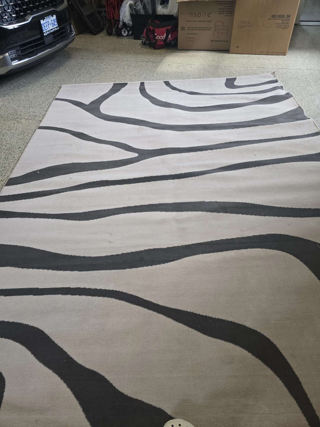 Area Rug - photo 2