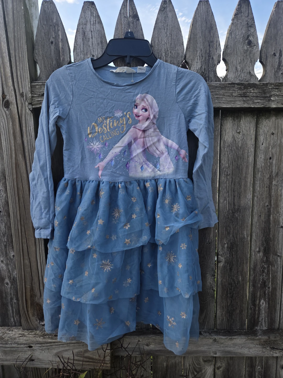 H&M Disney Frozen Elsa "My Destiny's Calling" Tulle Dress