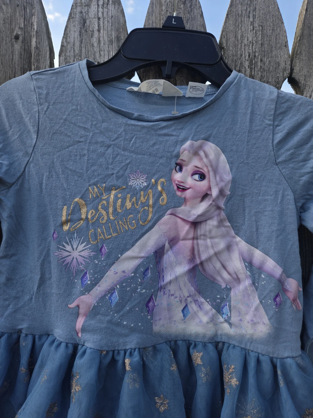 H&M Disney Frozen Elsa "My Destiny's Calling" Tulle Dress - photo 2