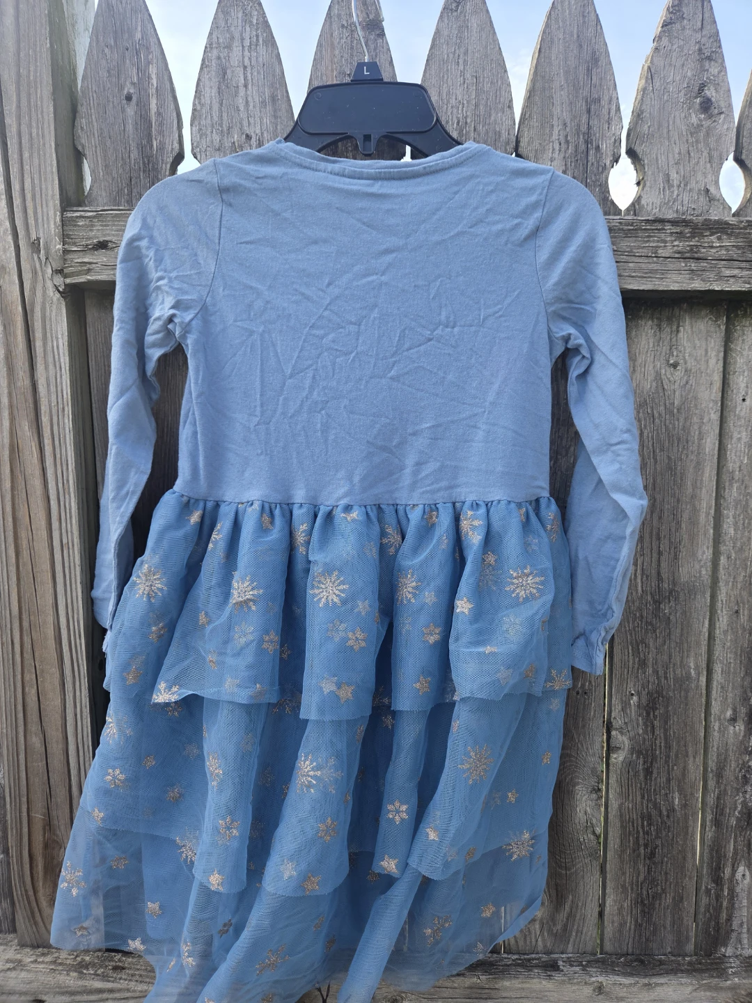H&M Disney Frozen Elsa "My Destiny's Calling" Tulle Dress - photo 4