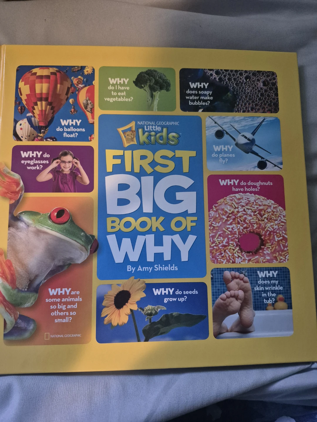 First Big Book of Why