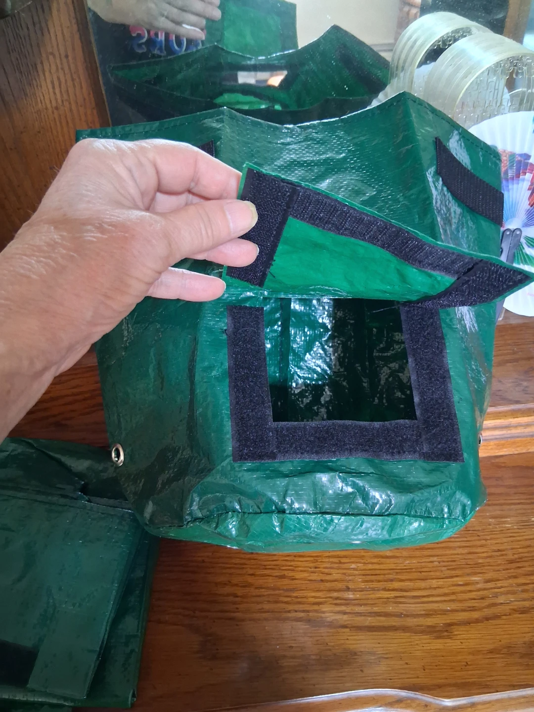 Green Grow Bags for apt/ condo vegetables - photo 2