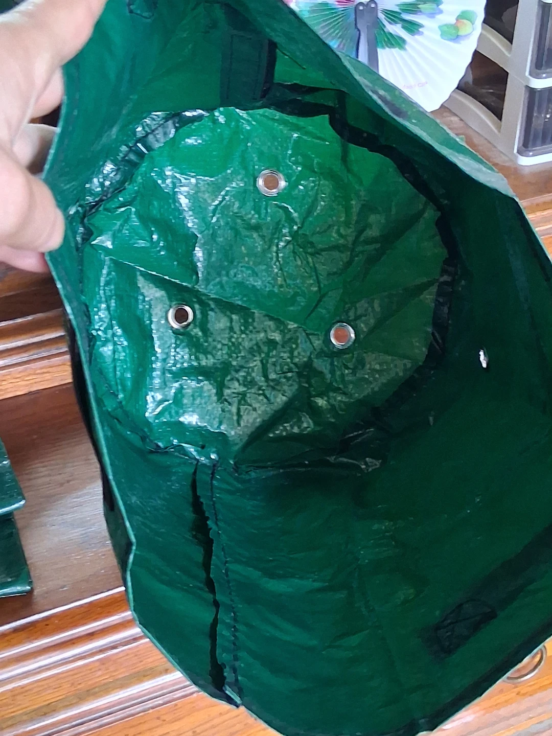 Green Grow Bags for apt/ condo vegetables - photo 3