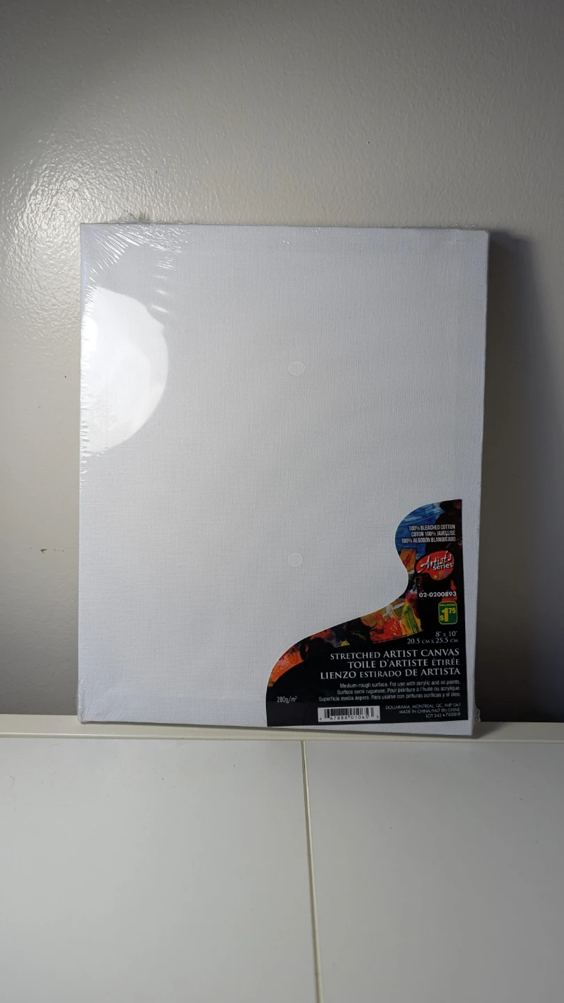 Artist's Series 8" x 10" Stretched Canvas