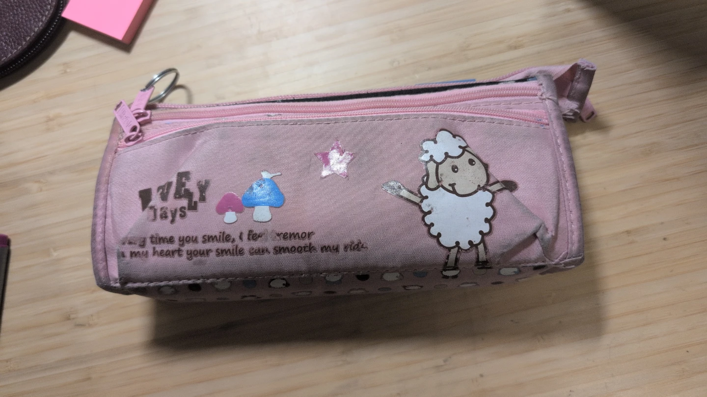 ⚽ Pink Sheep Pencil Case