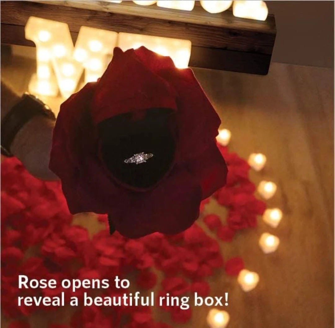 Marry Me Light Up Letters and Romantic Decor Kit - photo 4