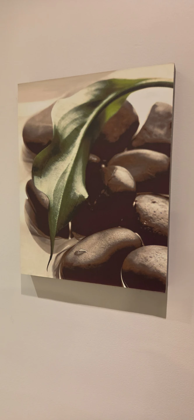 Canvas Wall Art - Zen Stones and Leaf