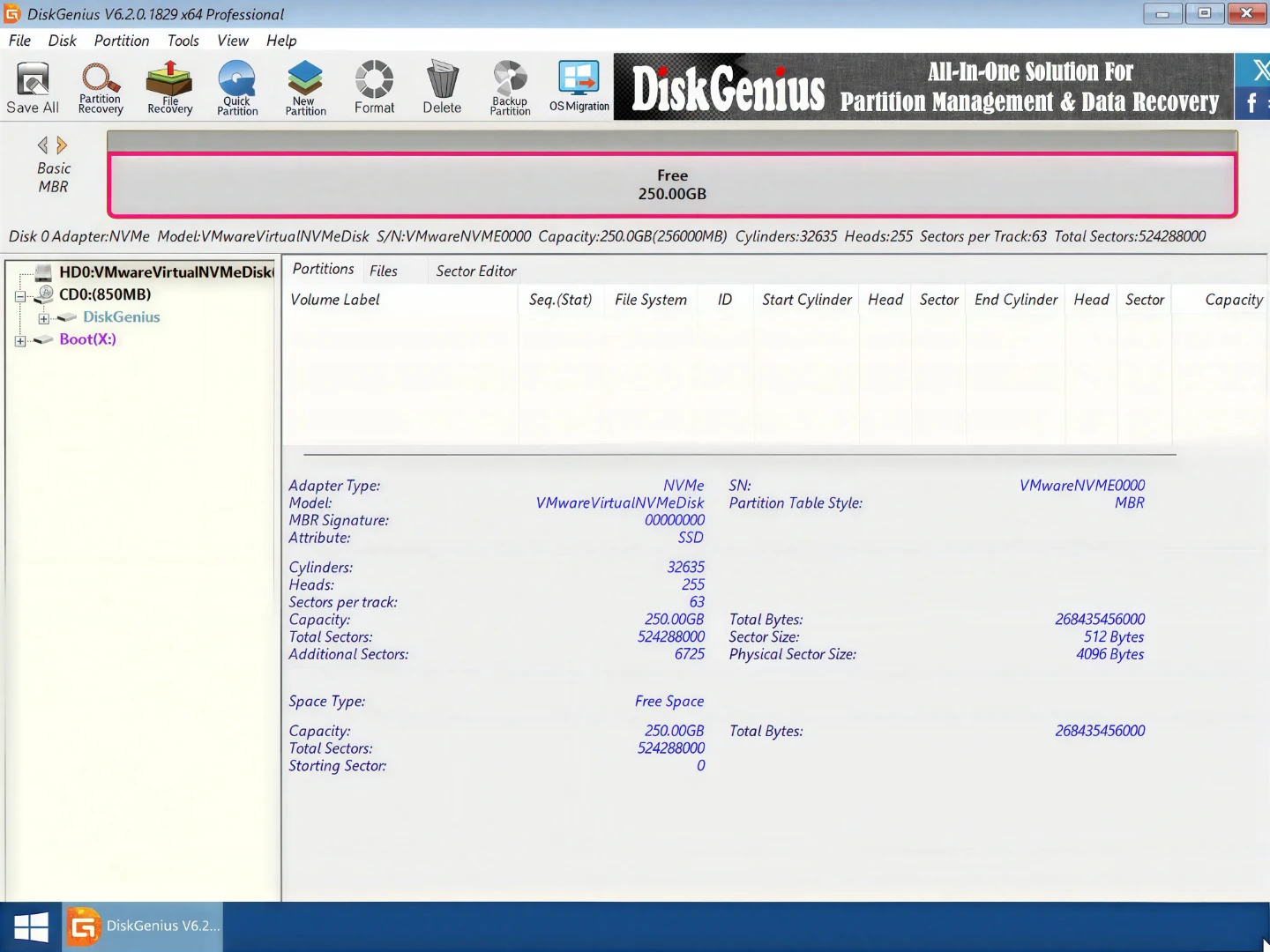 DiskGenius Professional Bootable DVD - photo 2