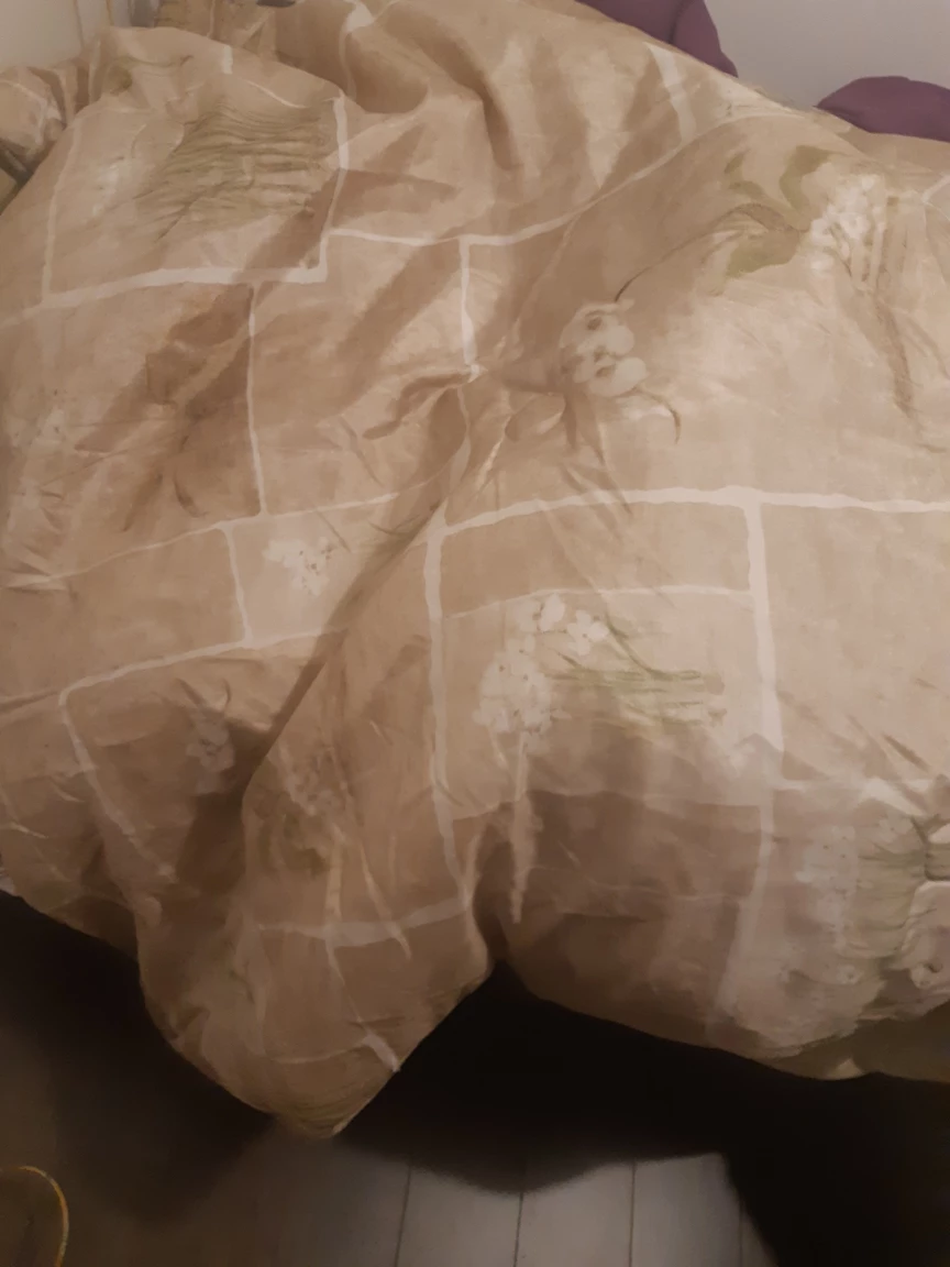 comforter 8 pieces Set