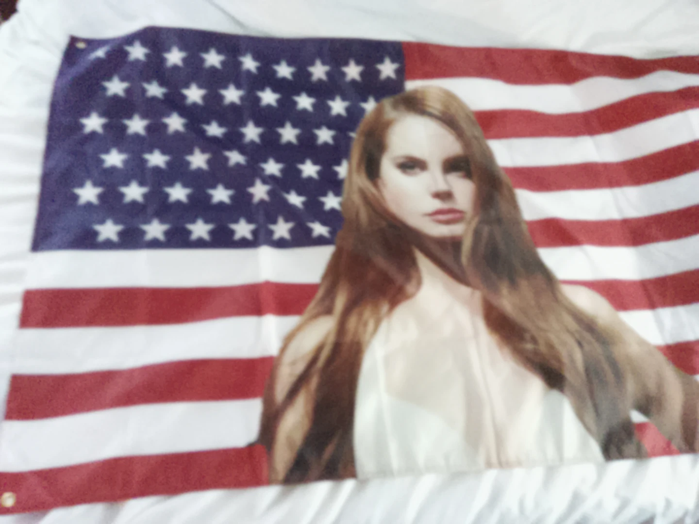 Lana Del Rey American Flag - photo 2
