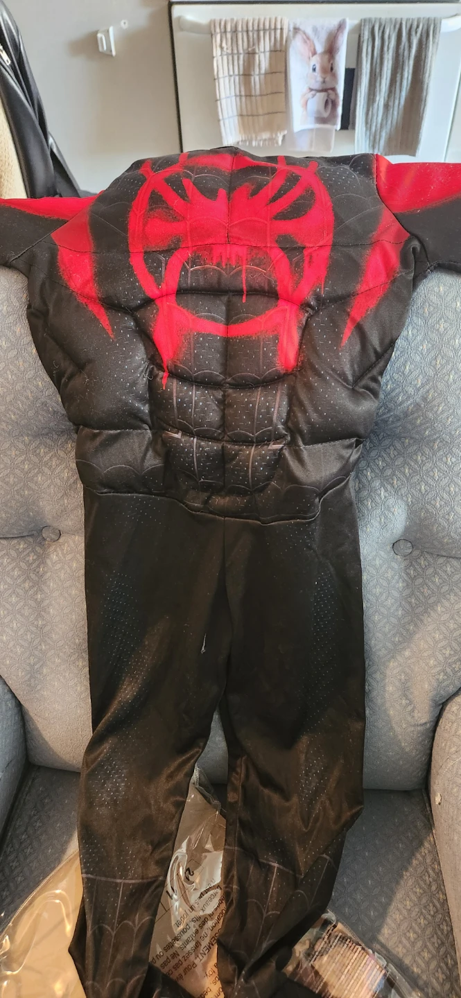Spider-Man Into the Spider-Verse Miles Morales Costume - photo 2