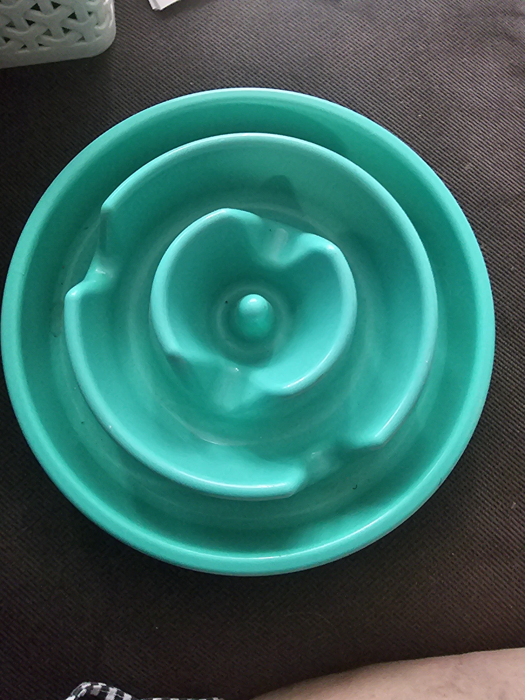 SLO-BOWL Teal Slow Feeder Pet Bowl