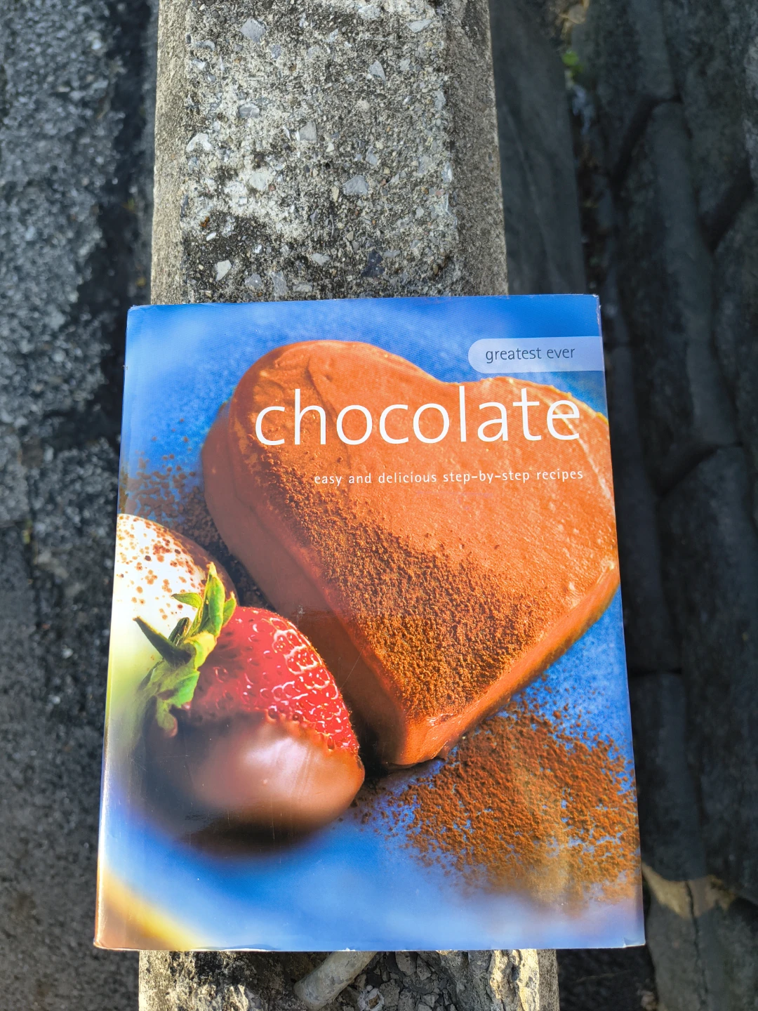Book chocolate recipes