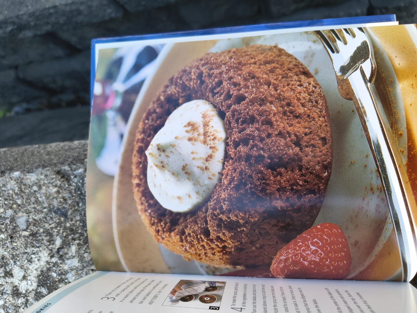 Book chocolate recipes - photo 2