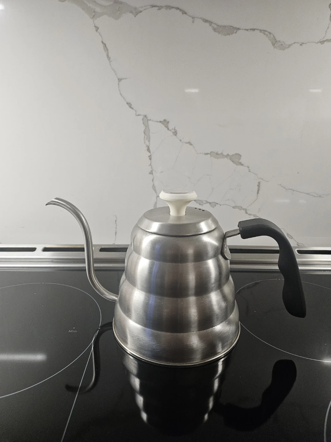 Stainless Steel Gooseneck Kettle with Thermometer ⚽️