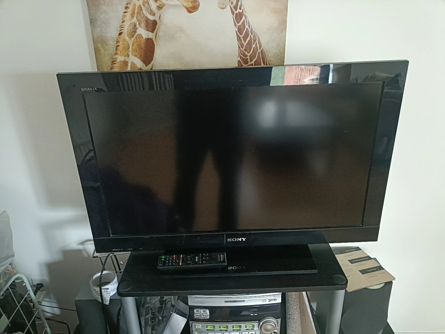 Sony Bravia Flat Screen TV