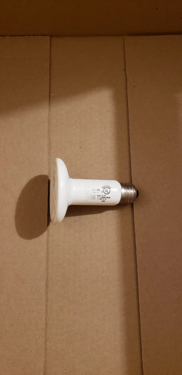⚽ Ceramic Heat Emitter Bulb 250W 120V - photo 2
