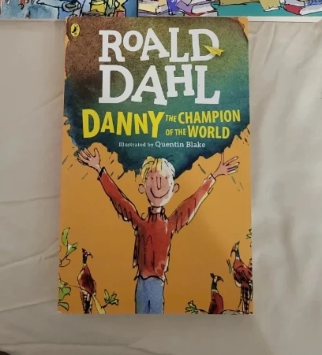⚽️ Roald Dahl Danny the Champion of the World Book