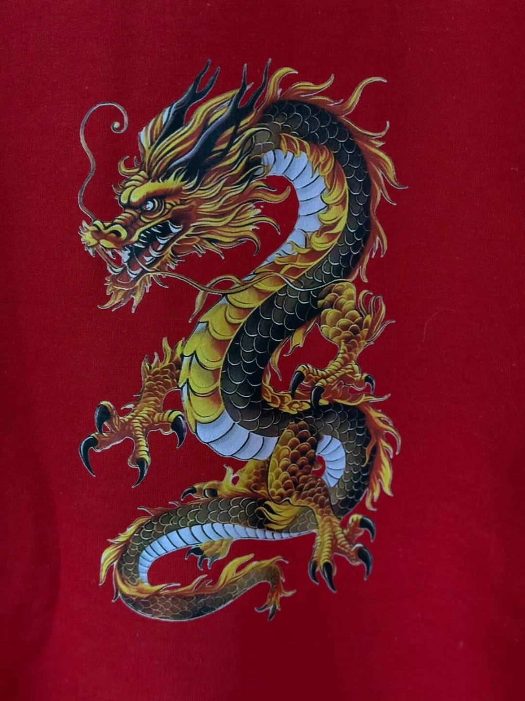 Graphic T-Shirts Bundle - Dragon, Tiger, Eye, Dog, Pills Designs - photo 2