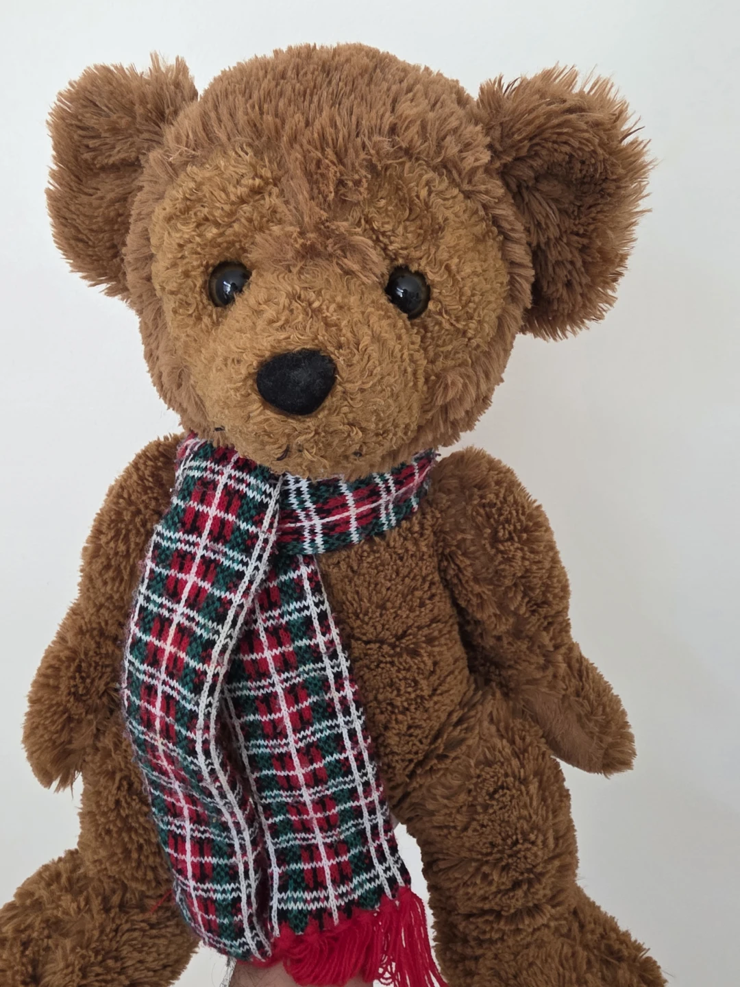 Brown teddy bear with plaid scarf