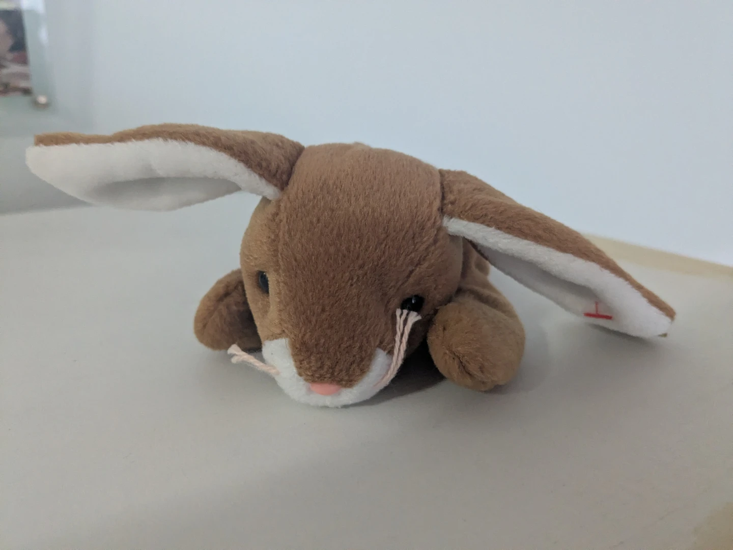 Ty Beanie Baby 'Ears'