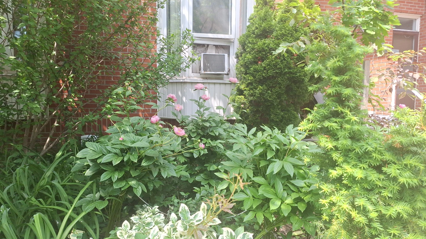 1 bedroom furnished available
