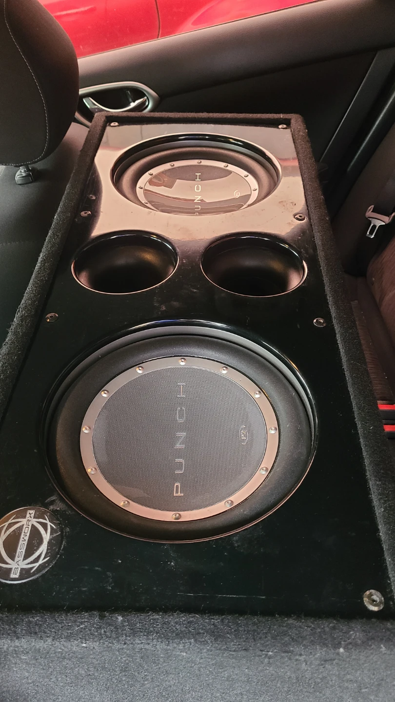 Rockford Fosgate P2 Punch Subwoofer - photo 2