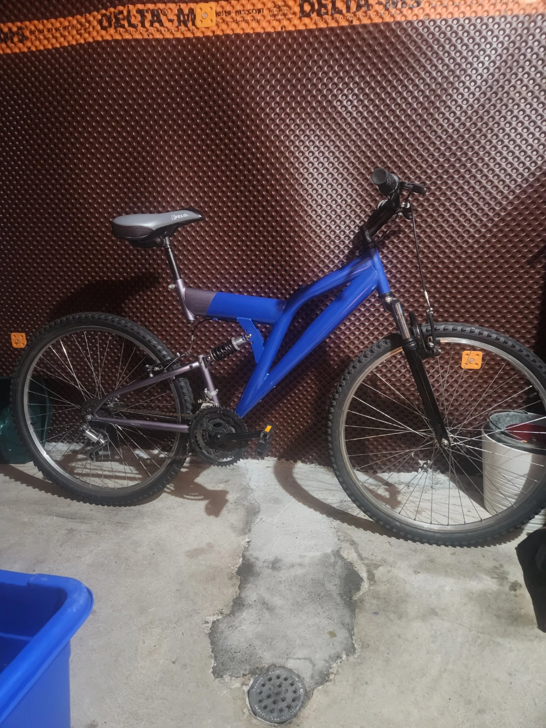 Blue Mountain Bike
