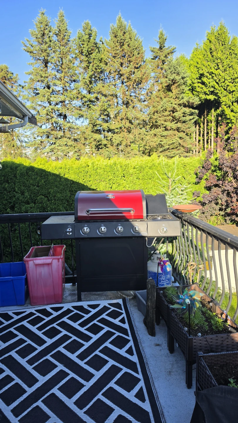 Backyard Grill Propane BBQ