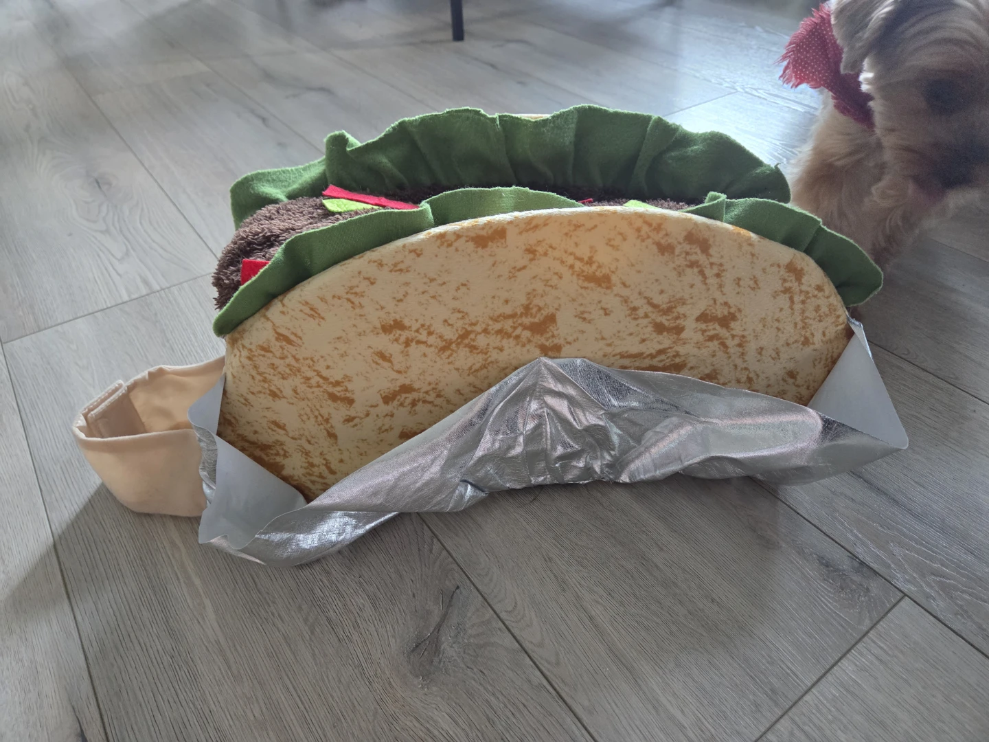 Dog Taco Costume - photo 2