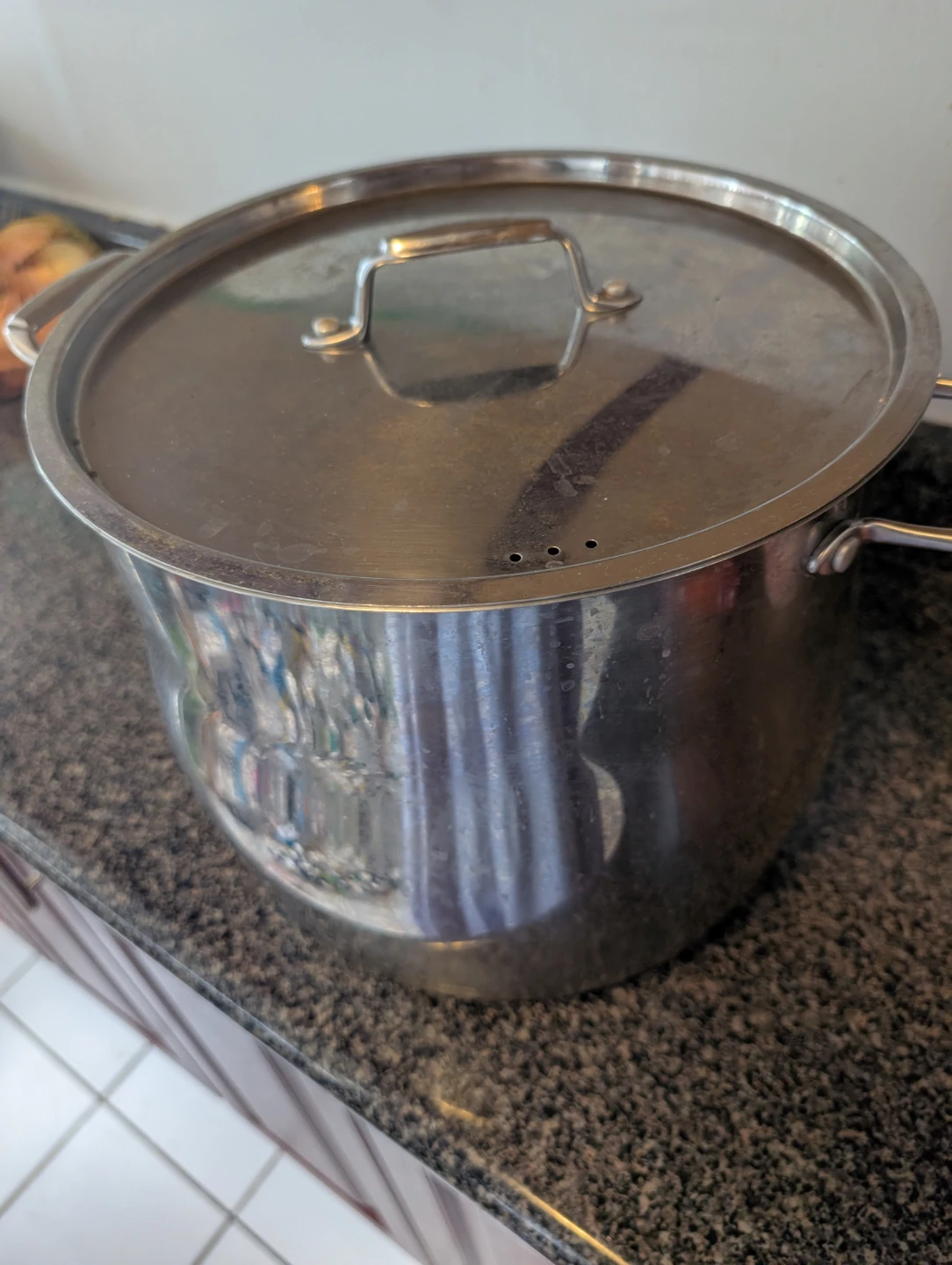Large Stainless Steel Stock Pot with Lid
