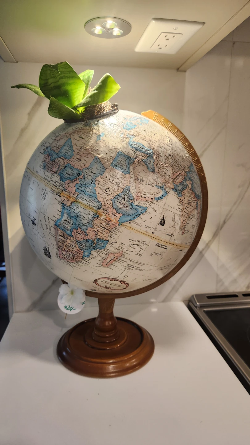 Upcycled globe planter with plant