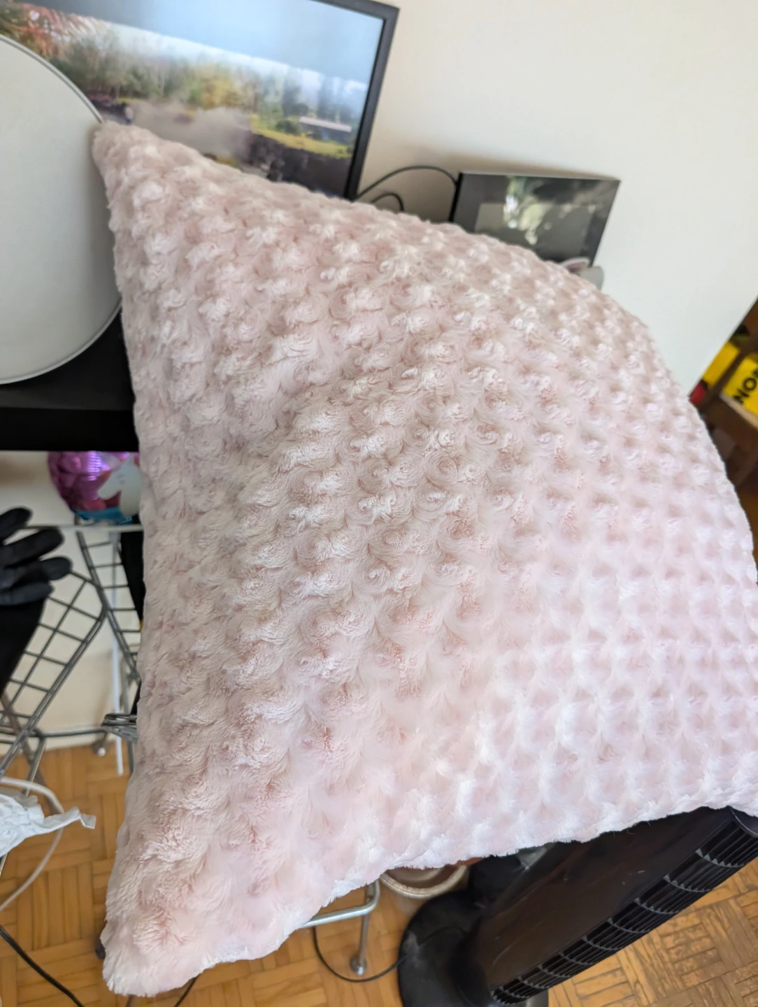 Plush Throw Pillows (Set of 2) - photo 2