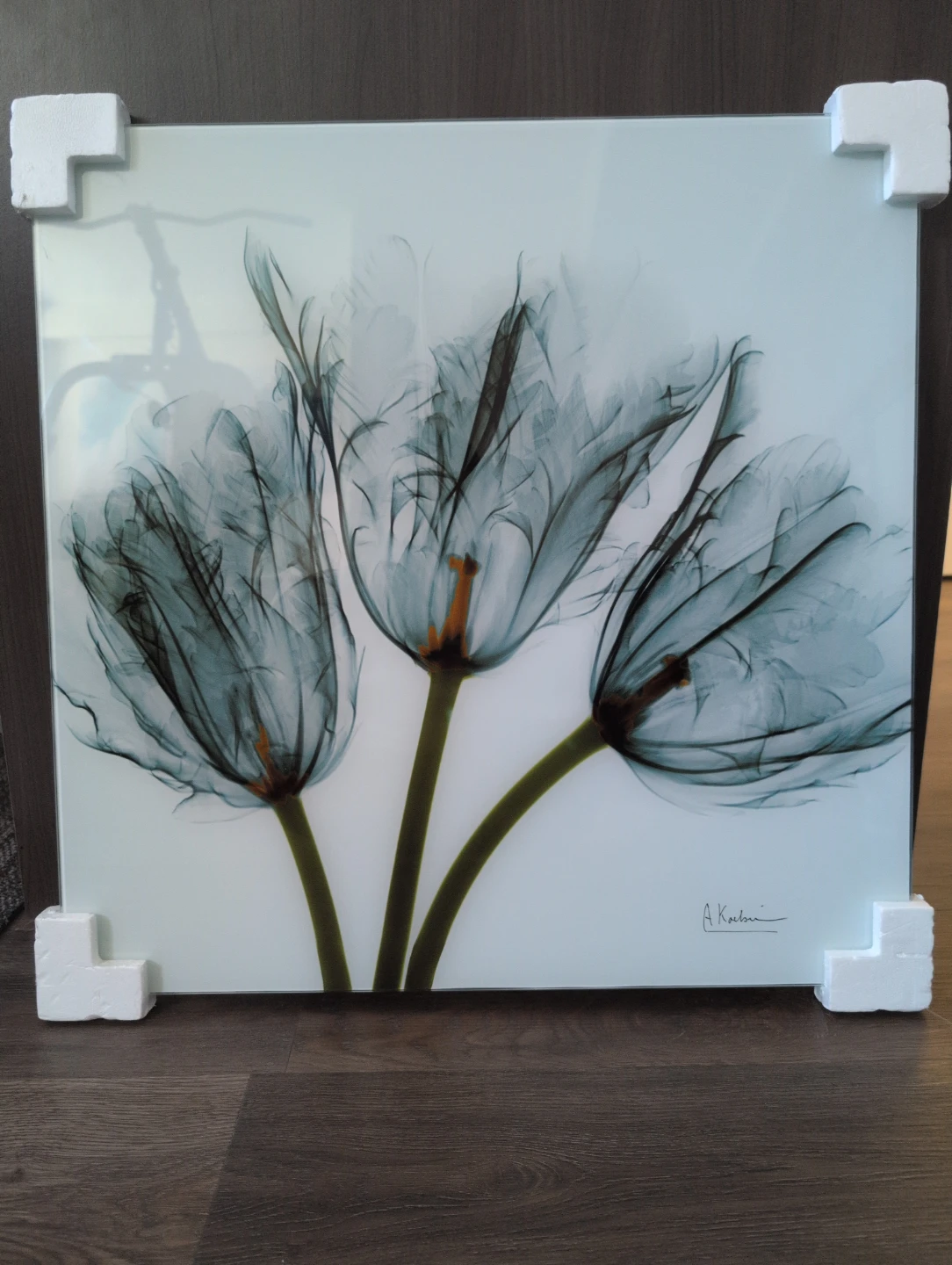 Vetro D'Arte "Tulip Trio" Tempered Glass Wall Art