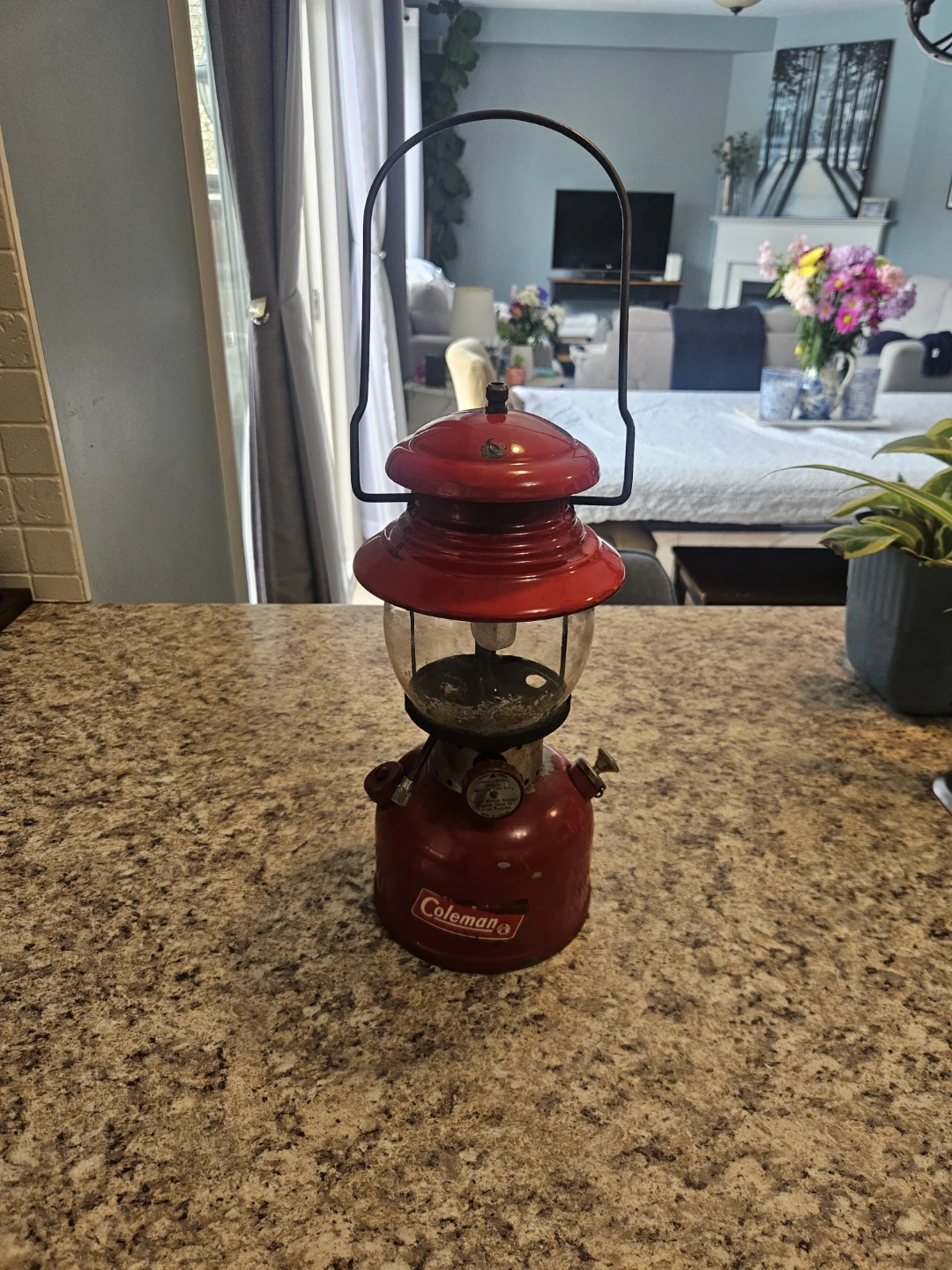 Coleman Red Lantern