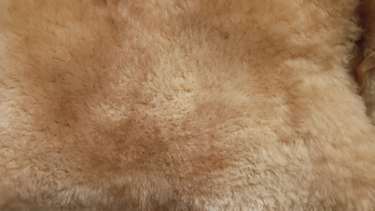 Real Sheepskin Rug hide - photo 2