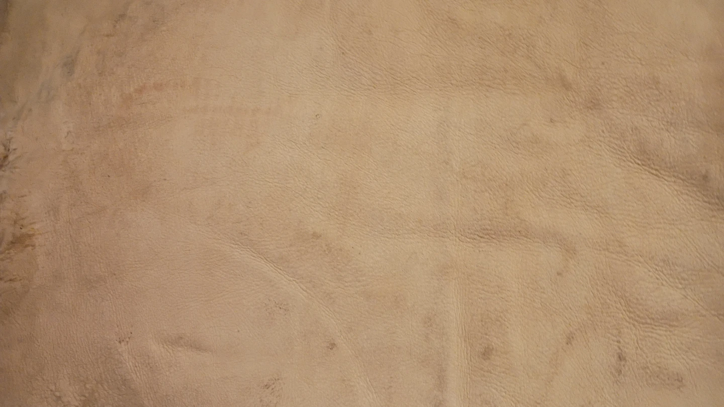 Real Sheepskin Rug hide - photo 3