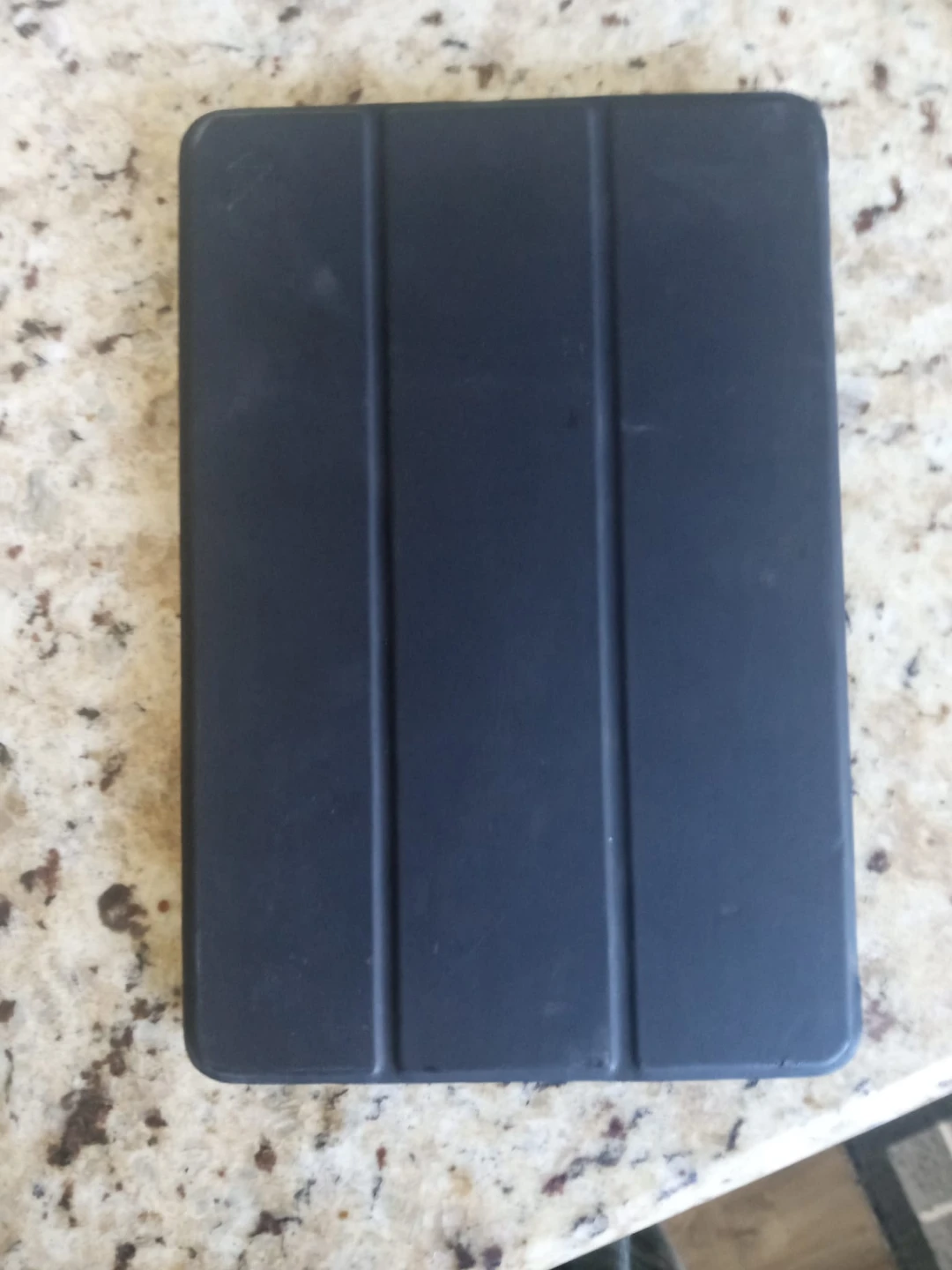 iPad Mini 2 128with Case - photo 2