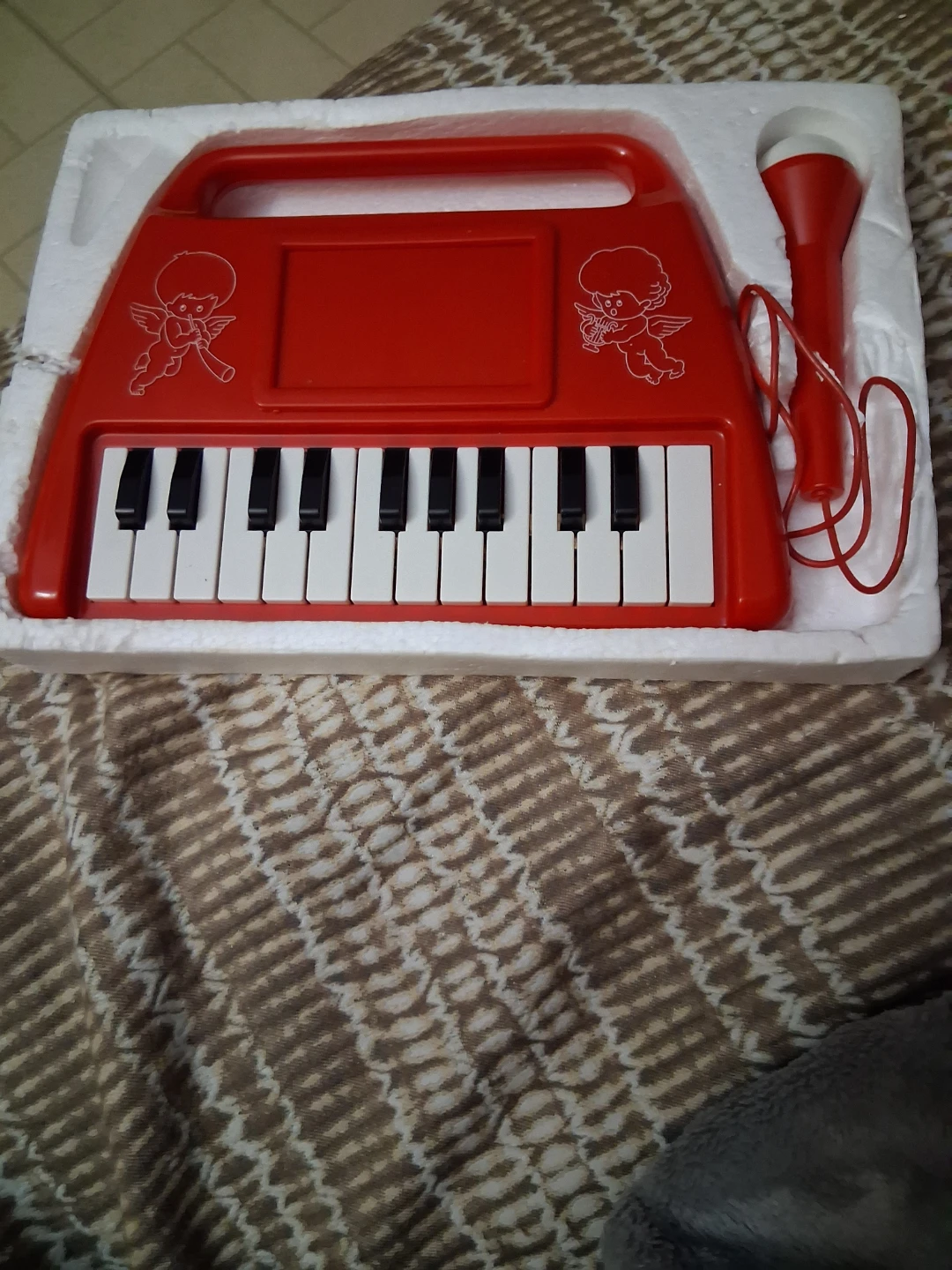 Electronic Organ Sing-Along Toy Keyboard with Microphone