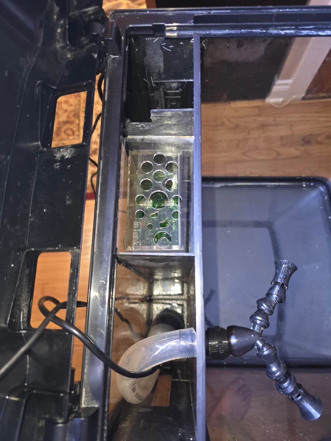 16 gal biocube aqarium with stand - photo 5