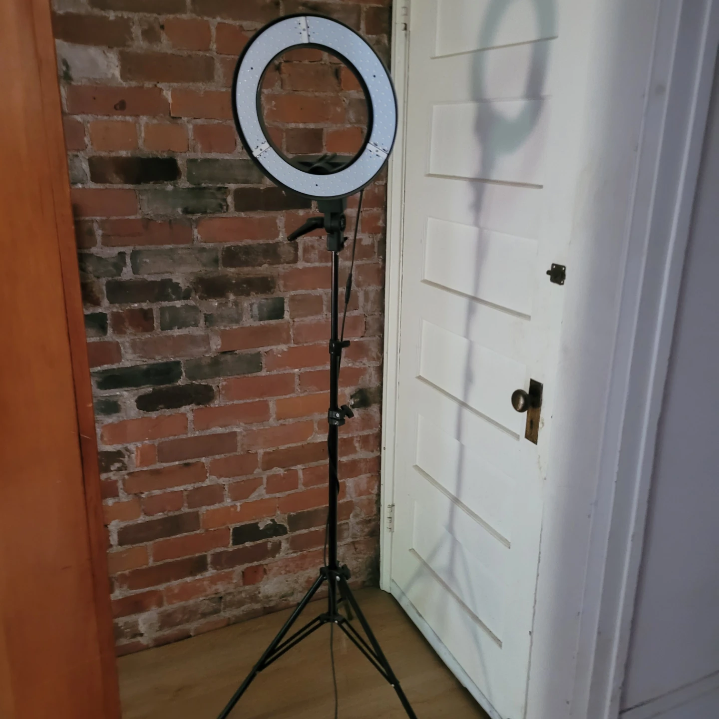 Ring Light with Stand