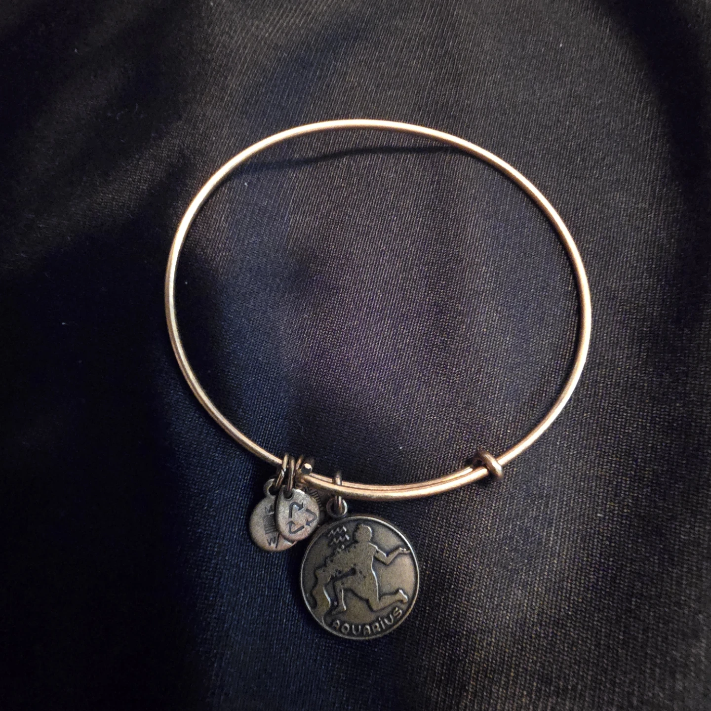 Set of 8 Alex and Ani Initials, Zodiac & Phrase Charm Bangles - photo 4