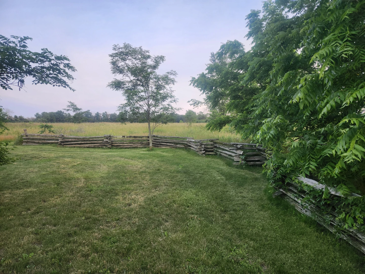 Authentic Cedar Fence Rails - photo 4