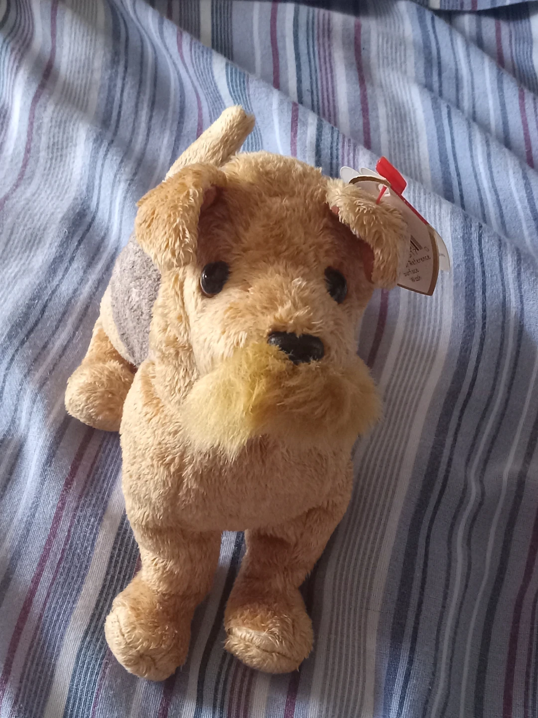 Ty Beanie Baby Vintage Whiskers Dog Plush