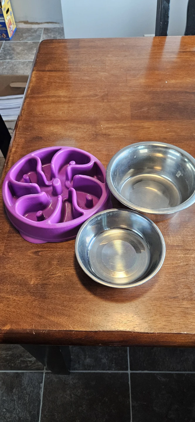 Pet Slow Feeder and Stainless Steel Bowls