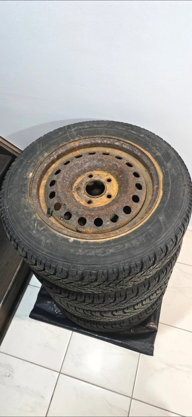 Steel rims and winter tires 195/65R15