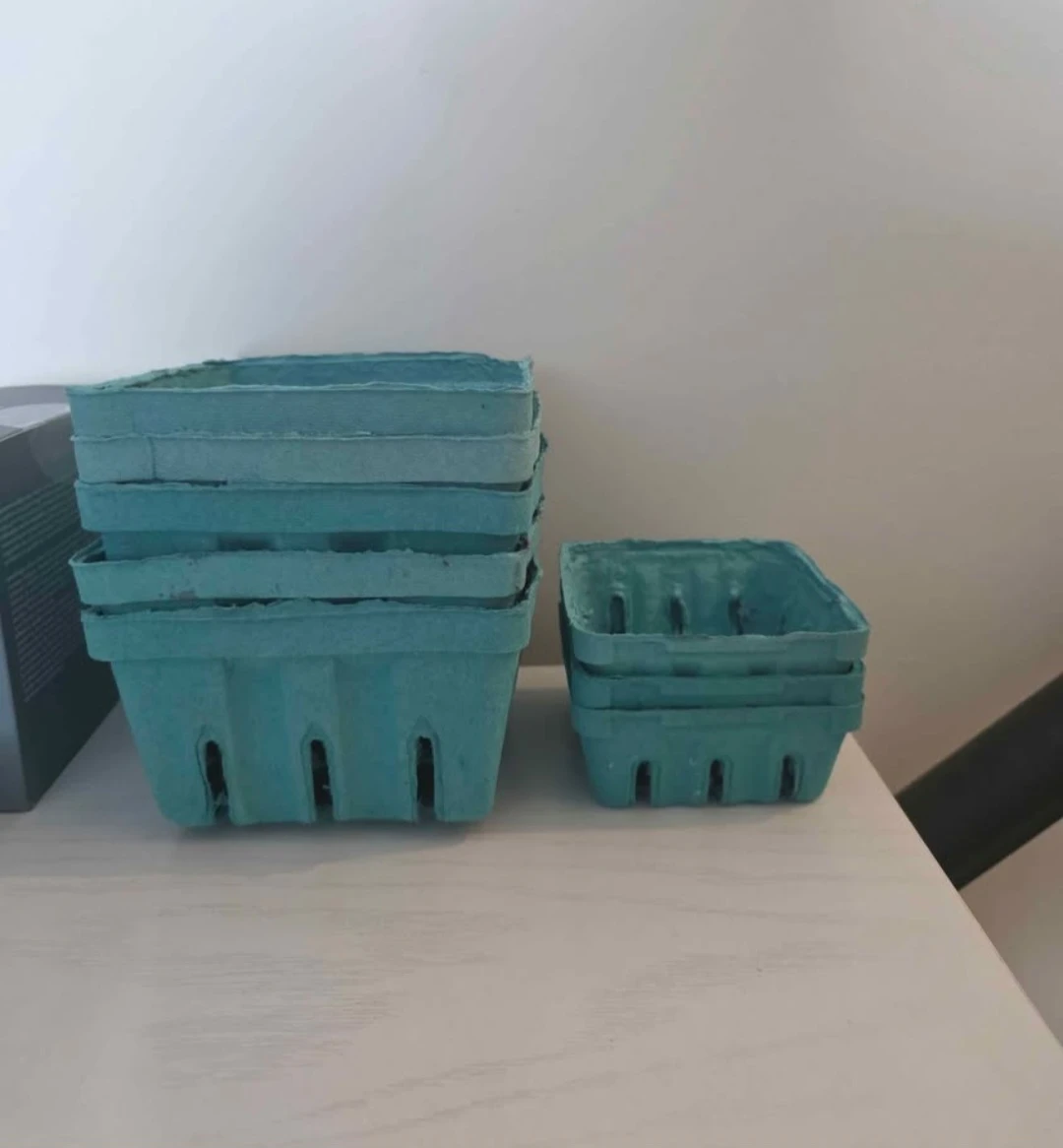 Pack of 8 Teal Berry Baskets